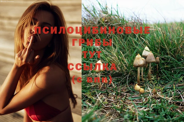 mdpv Арсеньев